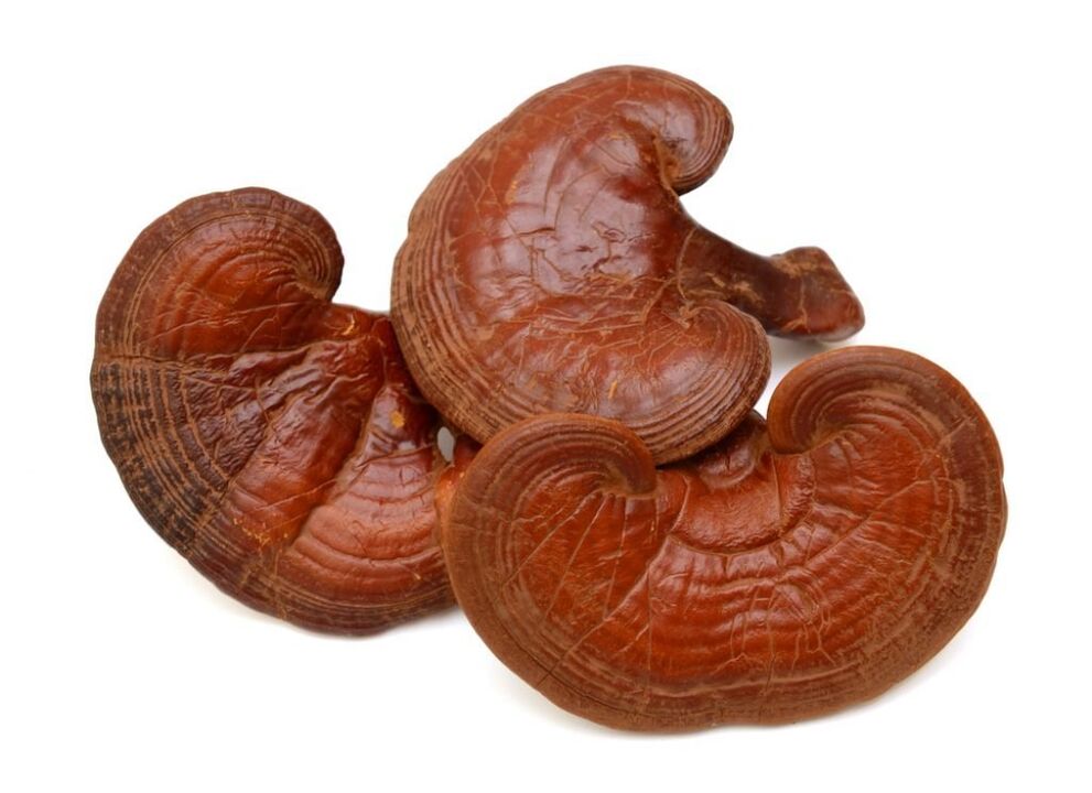 Reishi mushroom in Prostamine capsules